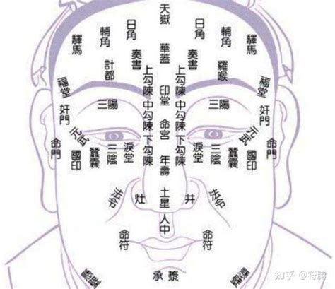 雞嘴耳 面相|雞嘴耳VS一般耳：誰更易成功